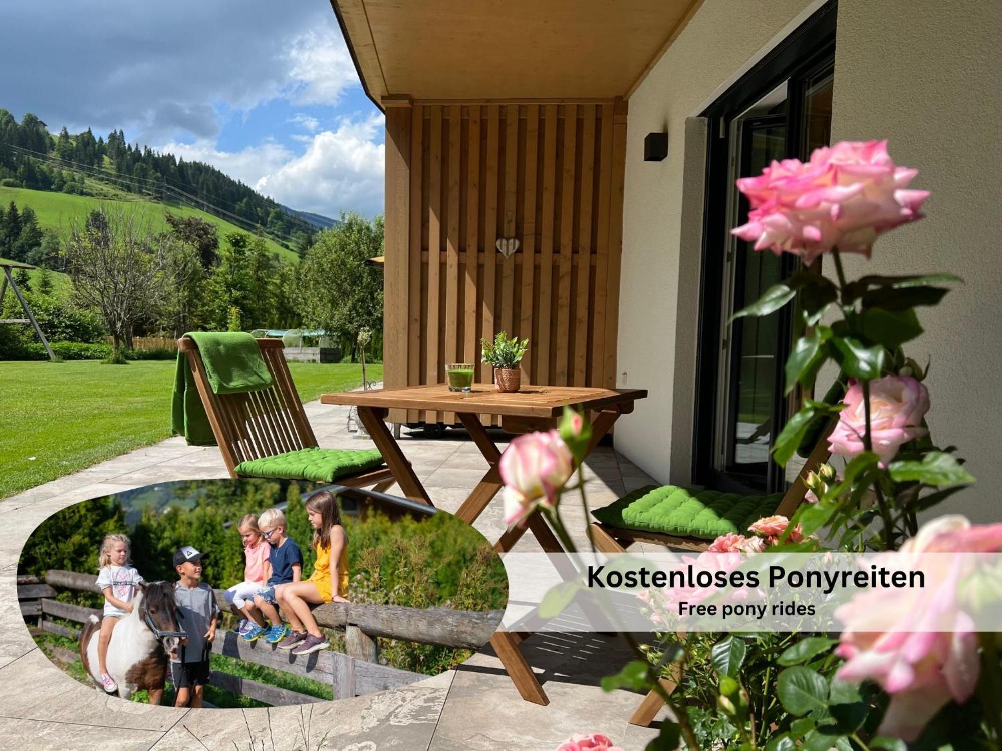 Apartment Viola Altenmarkt Altenmarkt im Pongau Dış mekan fotoğraf