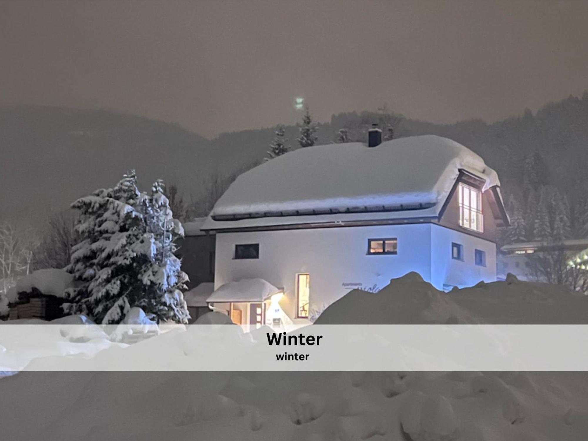 Apartment Viola Altenmarkt Altenmarkt im Pongau Dış mekan fotoğraf