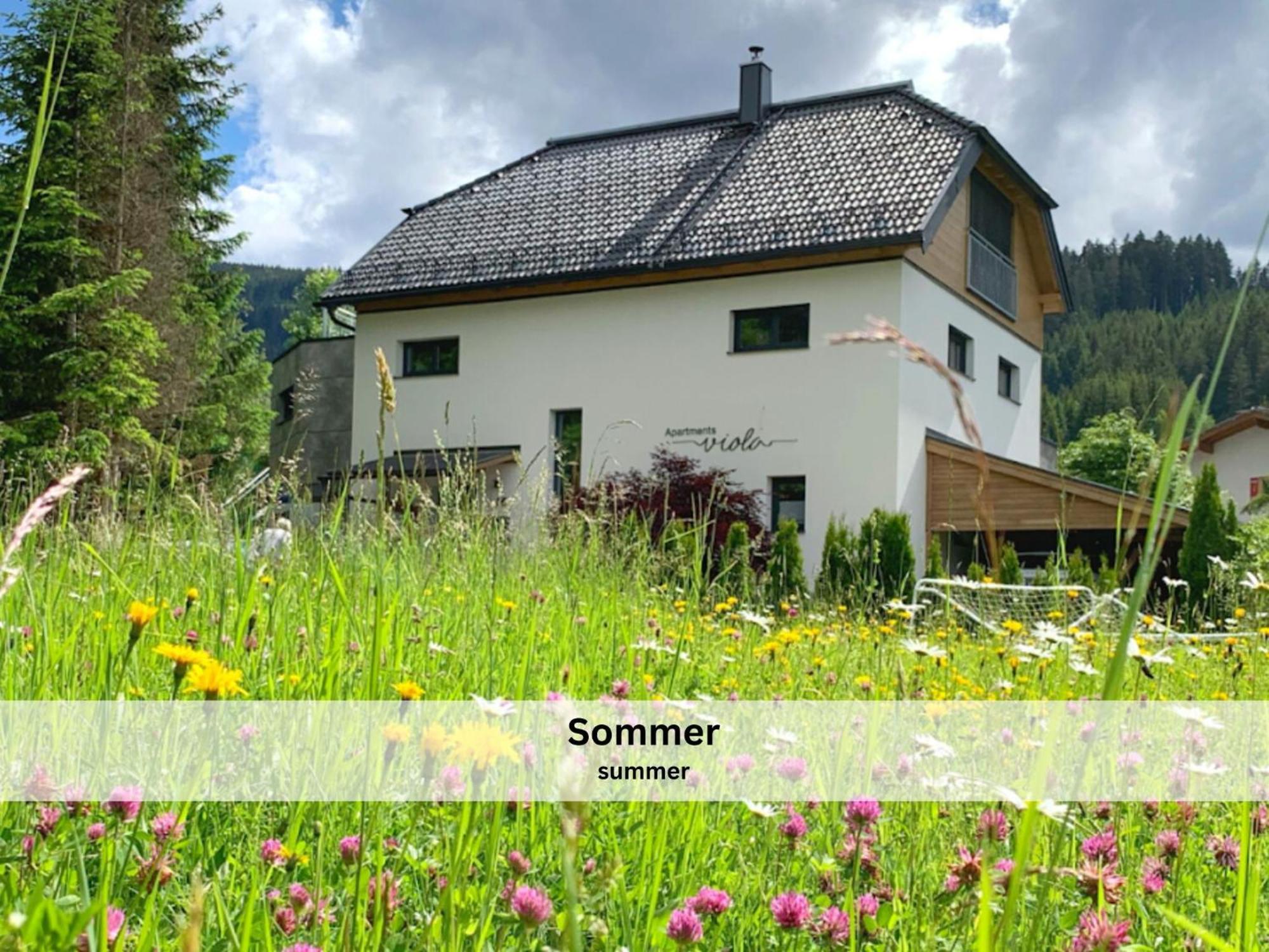 Apartment Viola Altenmarkt Altenmarkt im Pongau Dış mekan fotoğraf
